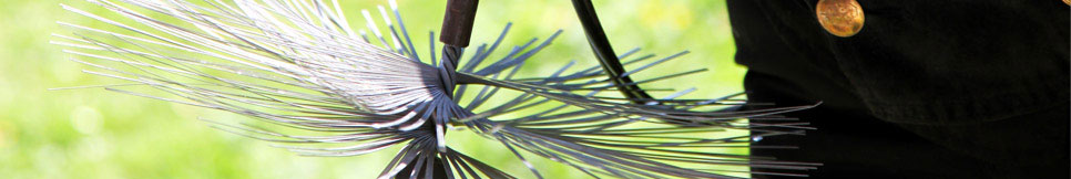 Banner - Melanie Hoppe